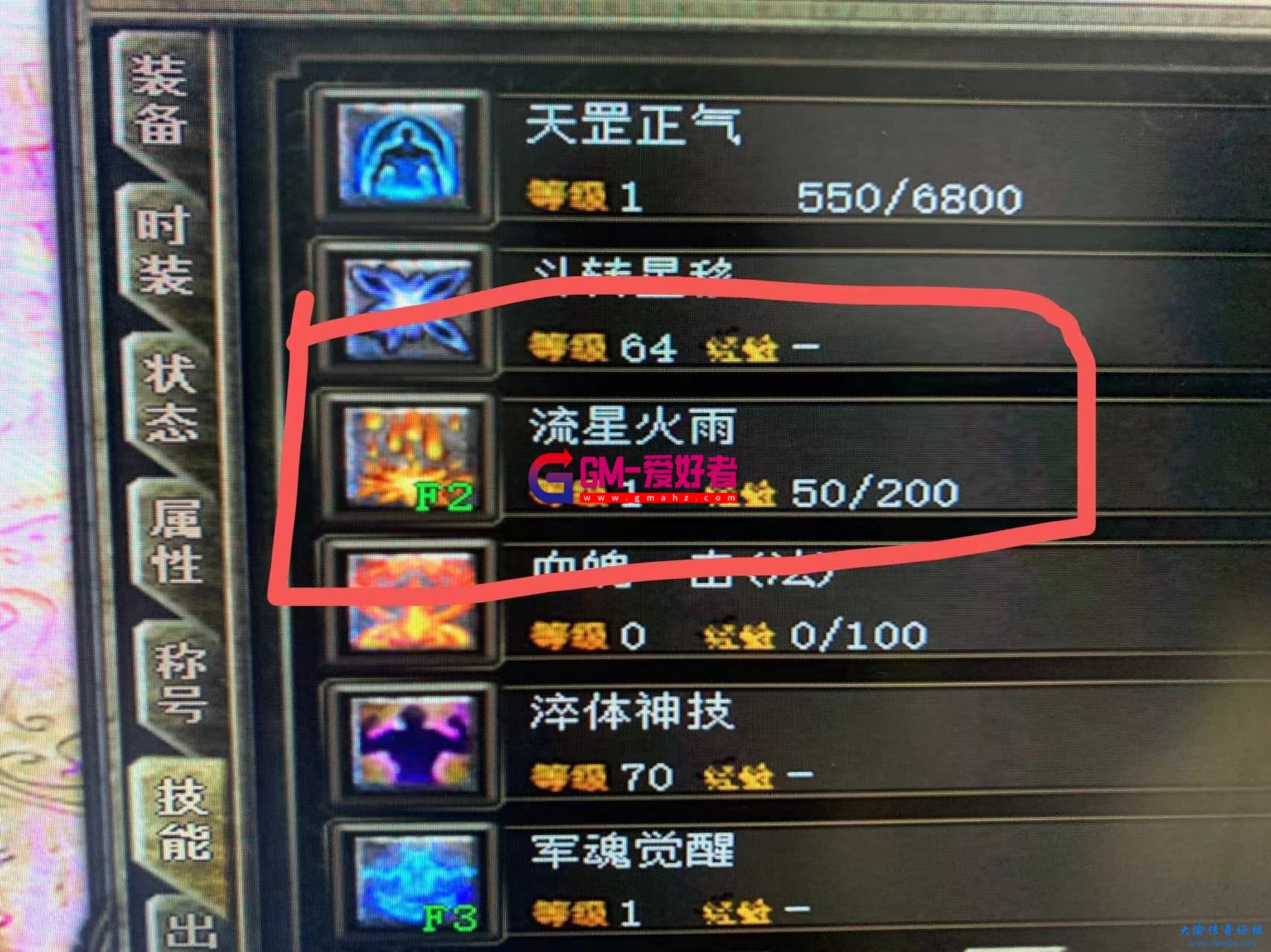 d1.jpg