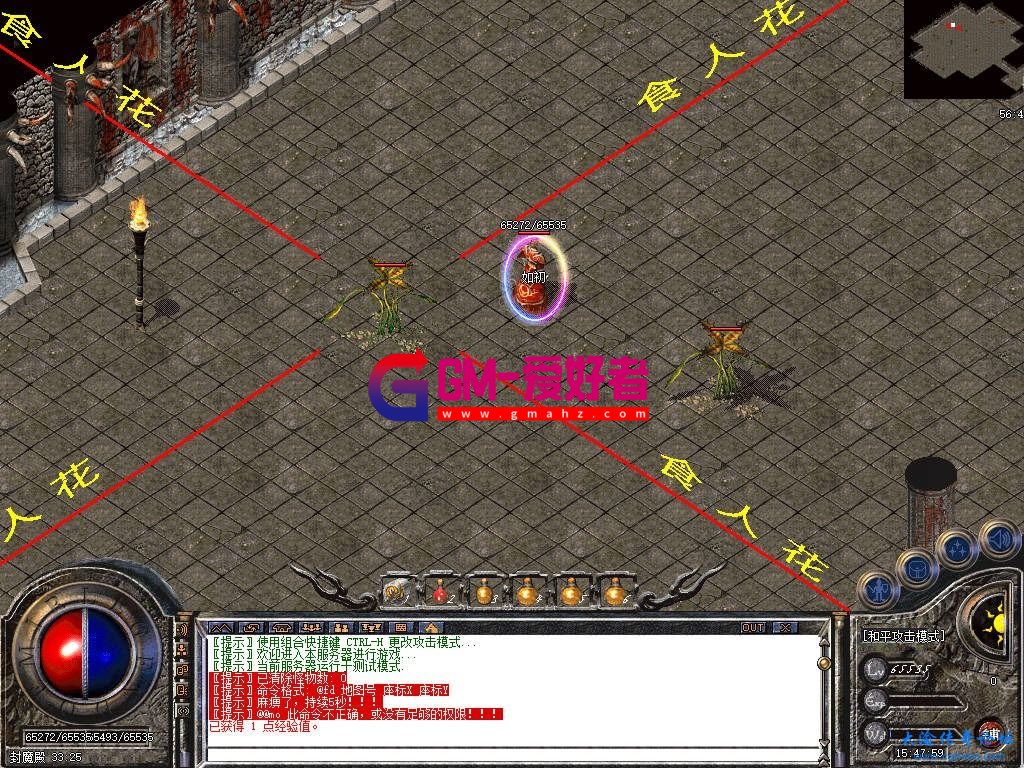 d1.jpg