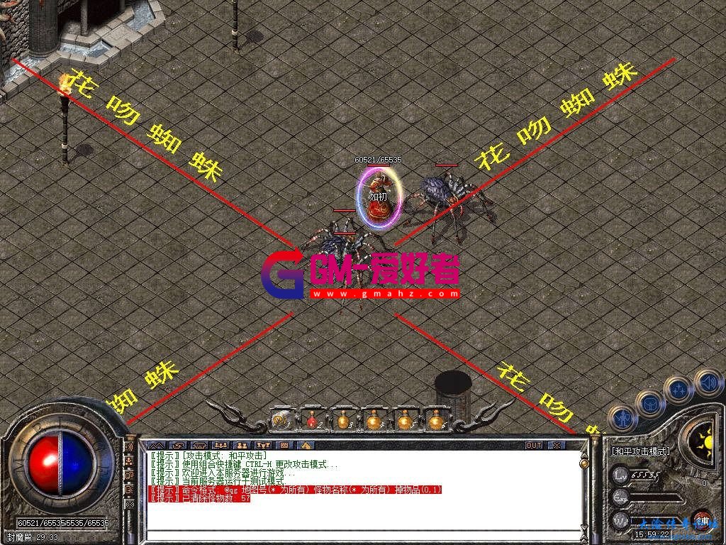 d2.jpg