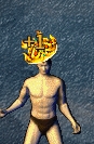 d1.png