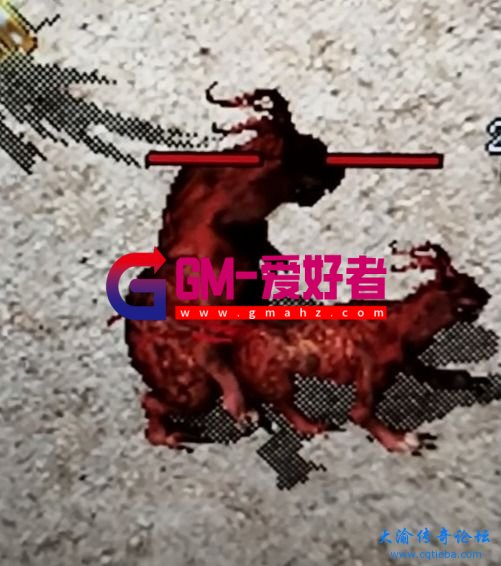 d1.jpg