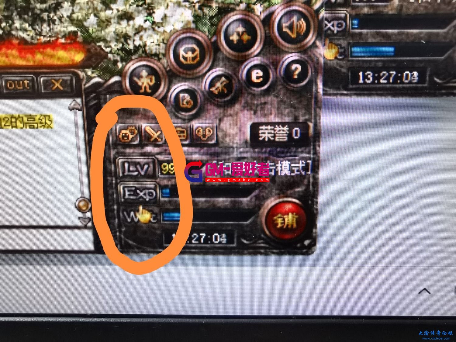 d1.jpg