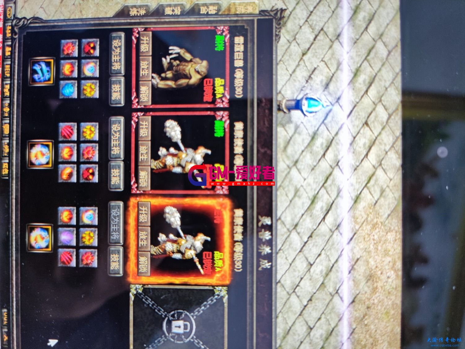 d1.jpg