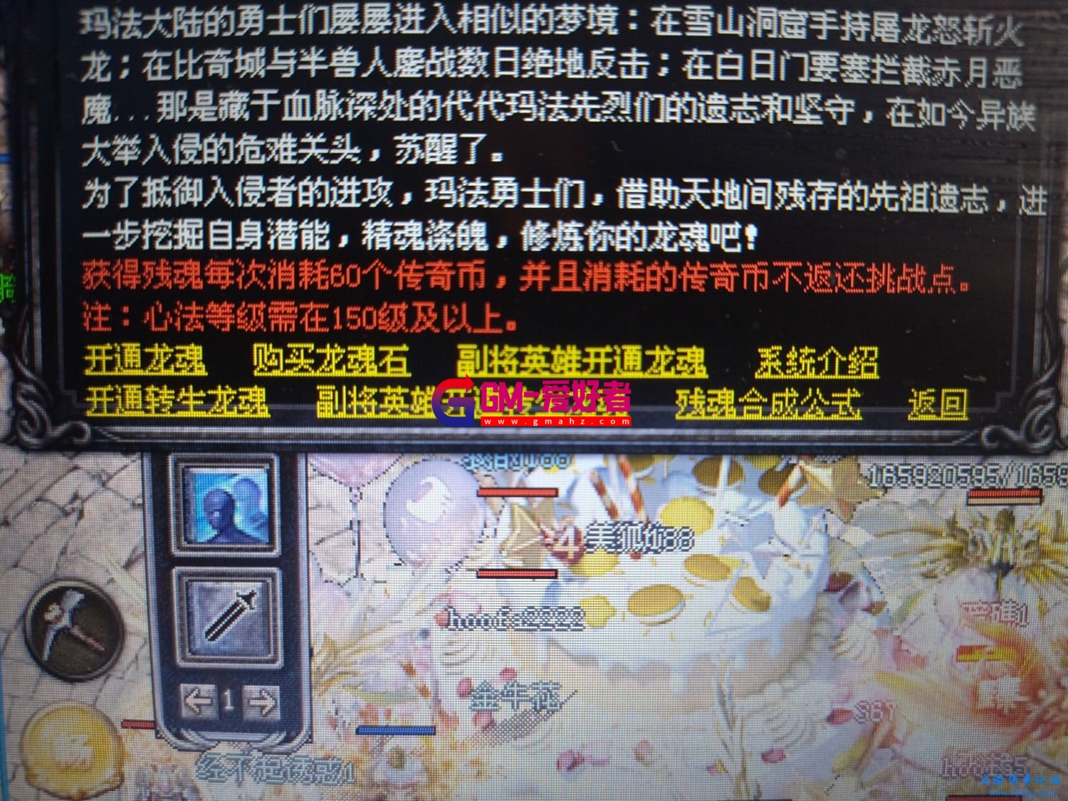 d1.jpg