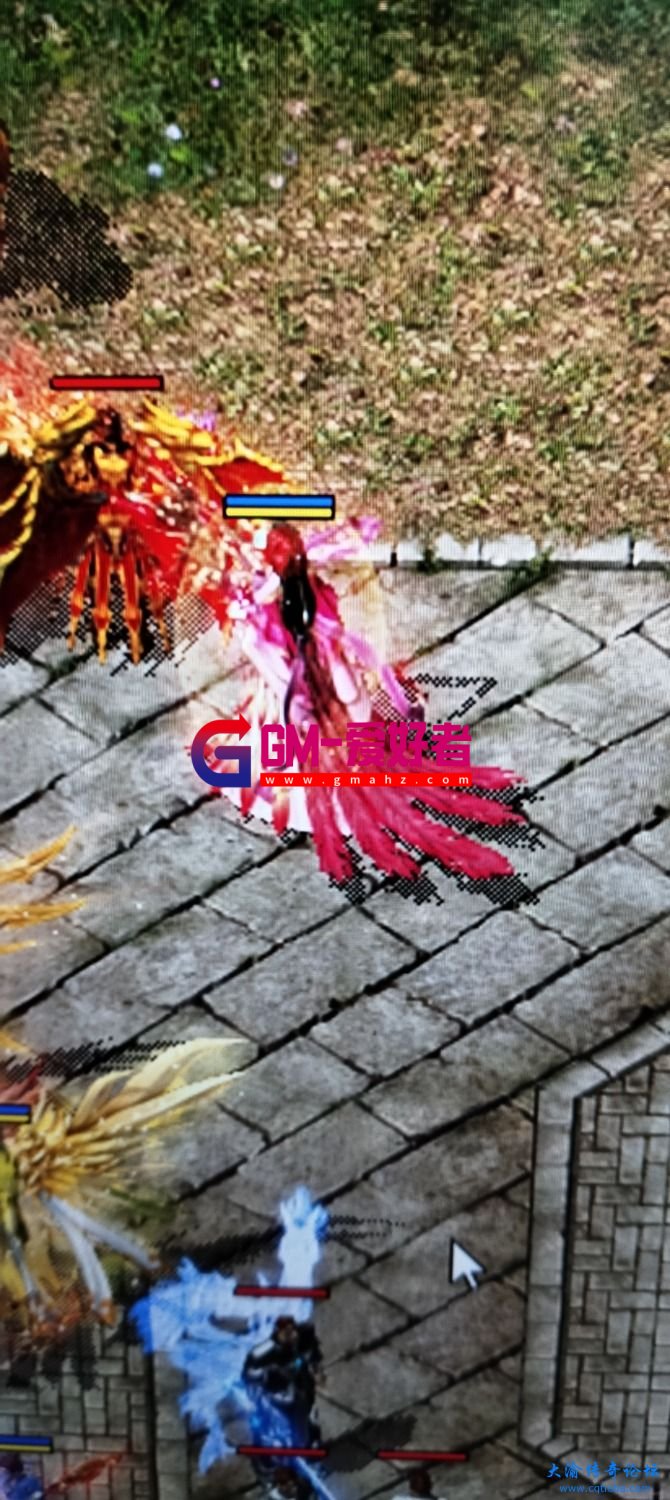 d2.jpg
